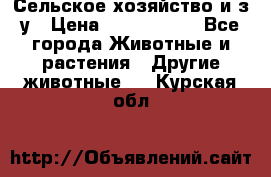 Сельское хозяйство и з/у › Цена ­ 2 500 000 - Все города Животные и растения » Другие животные   . Курская обл.